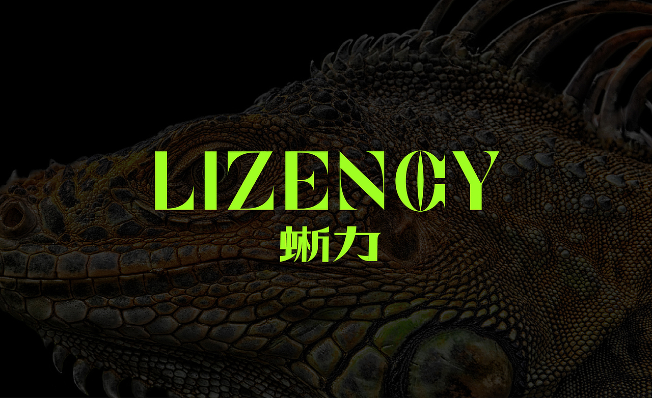 蜥力（图ZMzU3NzM5NzY4） - 品牌 - 站酷设计师千卓品牌全案策划原创素材 - 站酷ZCOOL