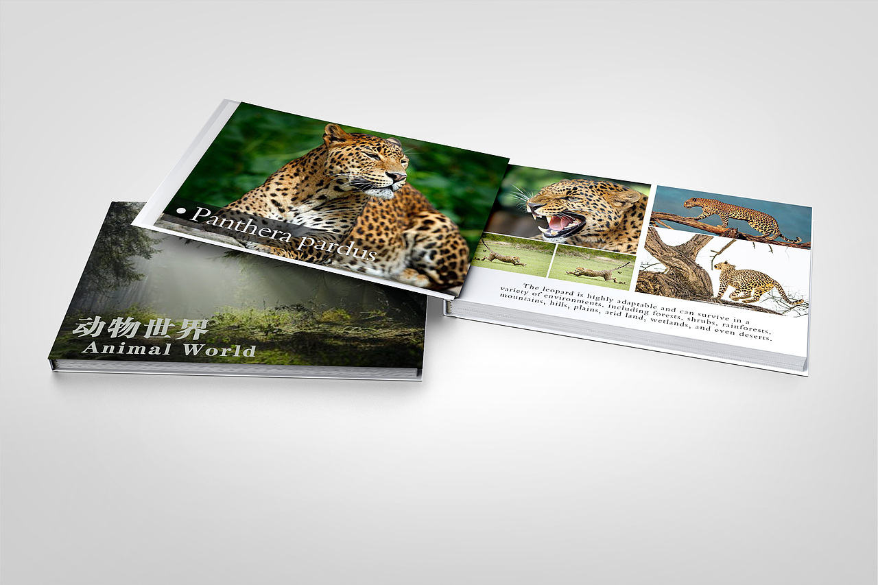 画册（图ZMTMxMDM1MDY0） - 书籍/画册 - 站酷设计师行不言拜原创素材 - 站酷ZCOOL