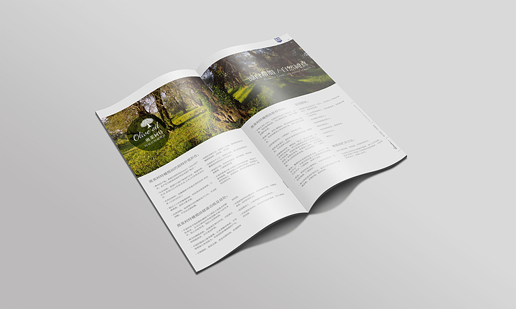 朋友的橄榄油，我给的小版面（图ZNDAwNjc0NTI=） - 书籍/画册 - 站酷设计师王铮sensoo原创素材 - 站酷ZCOOL