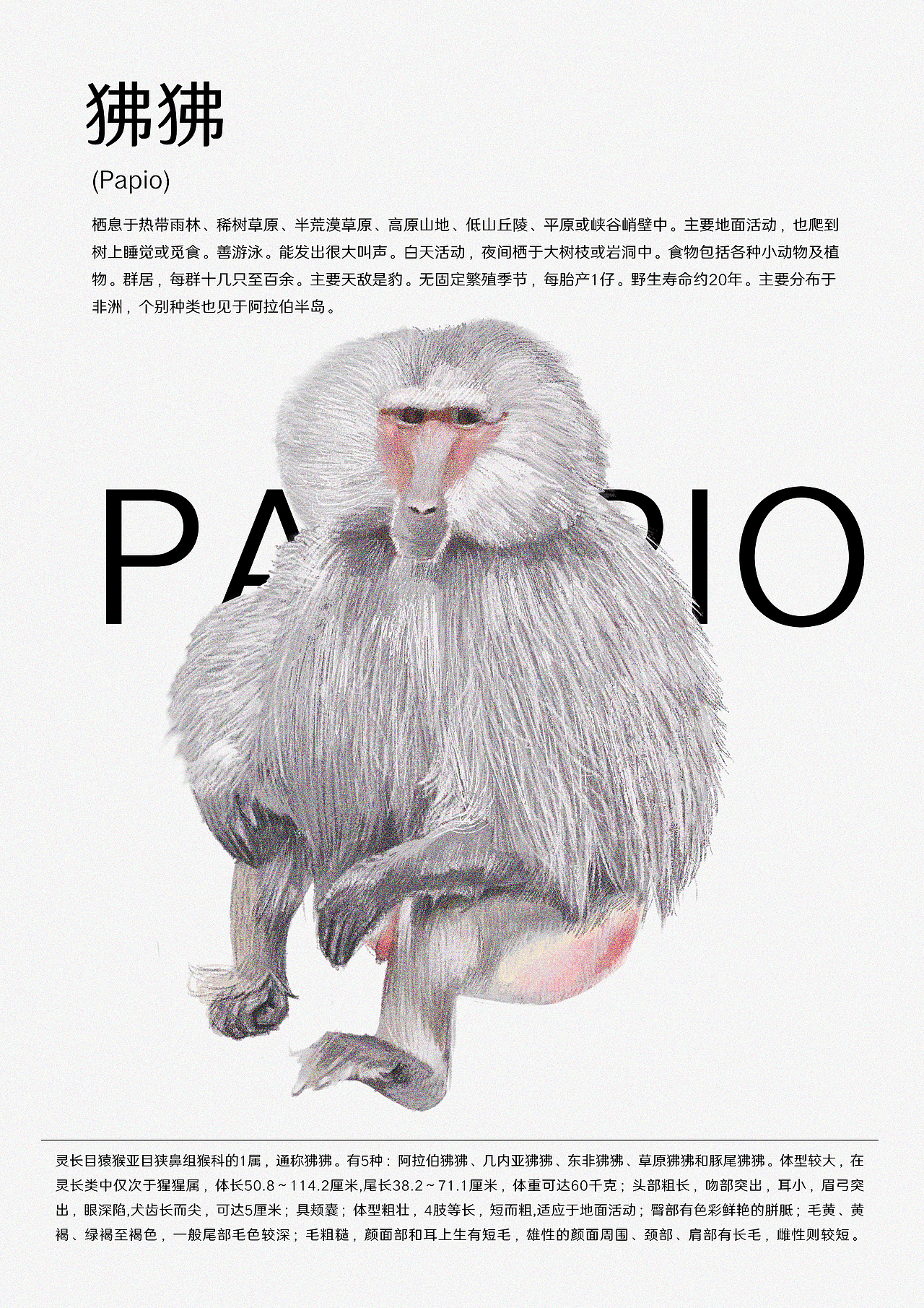 《动物园·成都》（图ZMjIwMjAzNTAw） - 创作习作 - 站酷设计师double又原创素材 - 站酷ZCOOL