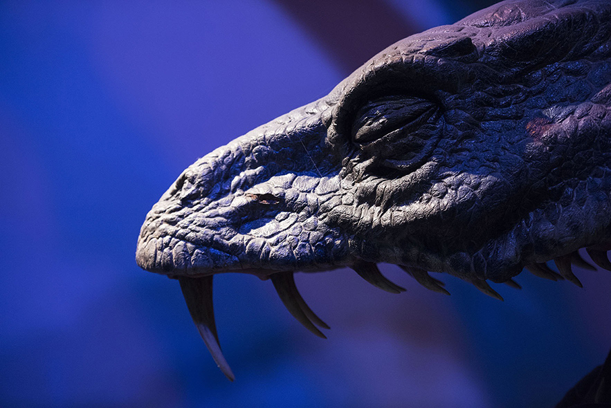 2, 巴克比克(buckbeak)