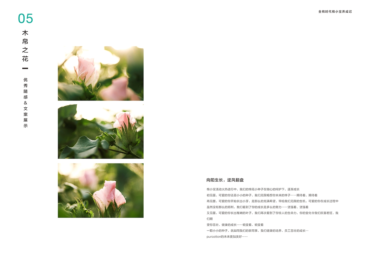全棉时代-棉小宝养成记画册（图ZMTQzNTczNTA4） - 书籍/画册 - 站酷设计师_Babyblue原创素材 - 站酷ZCOOL