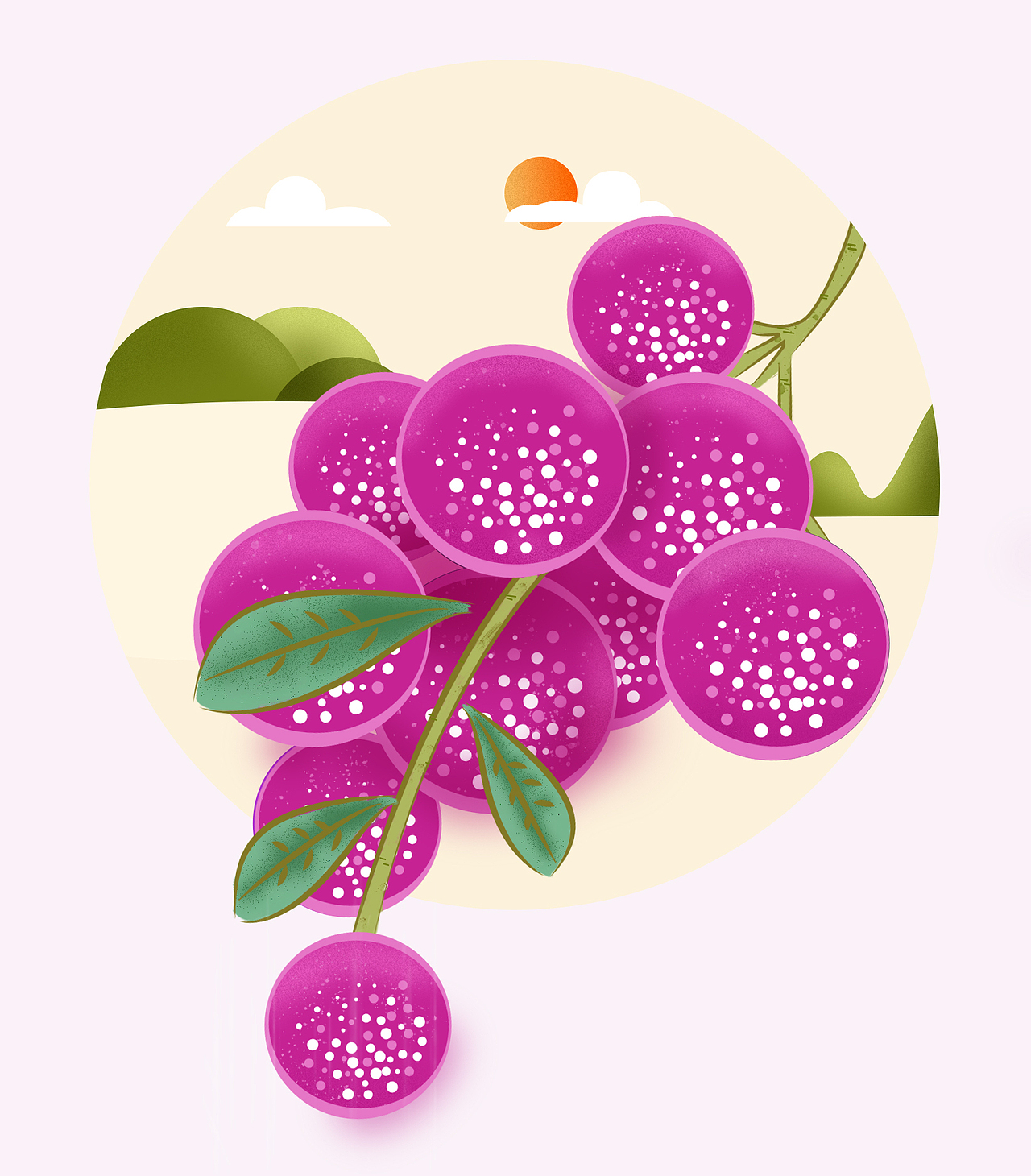 一组青梅酒包装插画