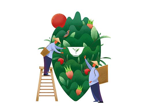 Illustration design-插画设计