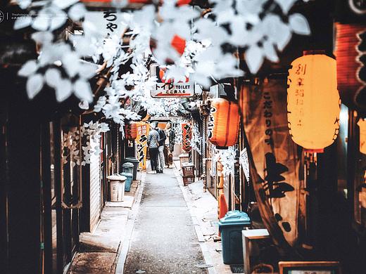 城市猎人/Looking for