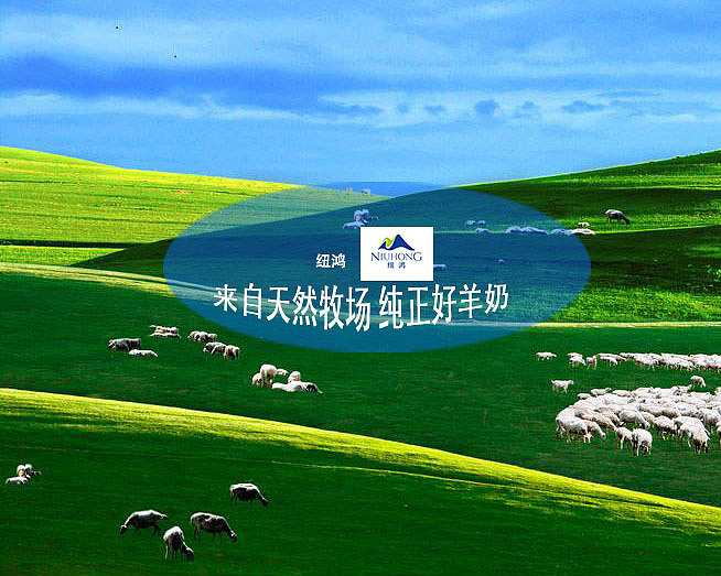 纽鸿羊奶产品（图ZODUxODI3Mjg=） - 宣传物料 - 站酷设计师小天使1号原创素材 - 站酷ZCOOL