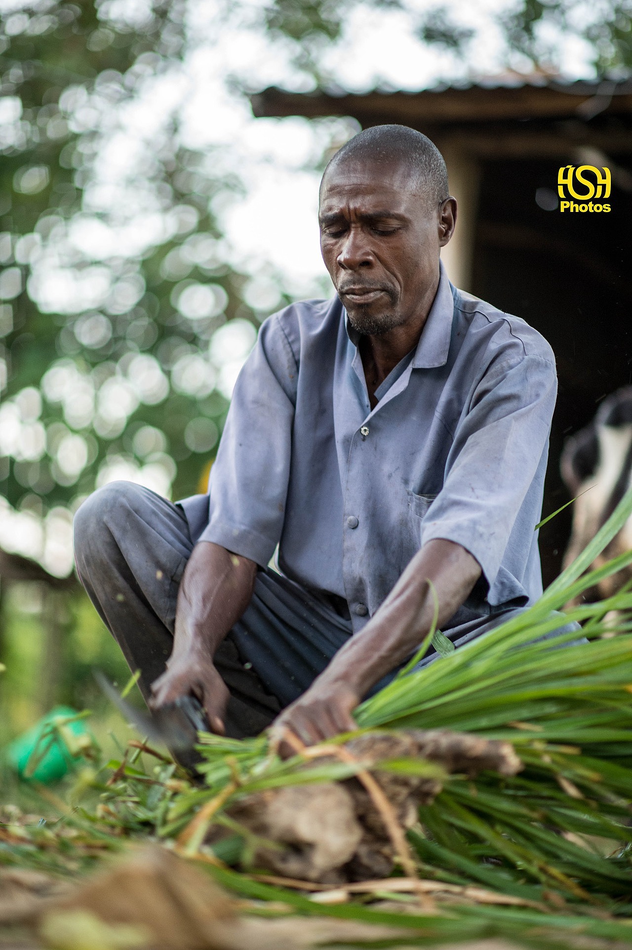 黑摄会出品《butula村之行》_黑摄会_人在非洲-站酷zcool