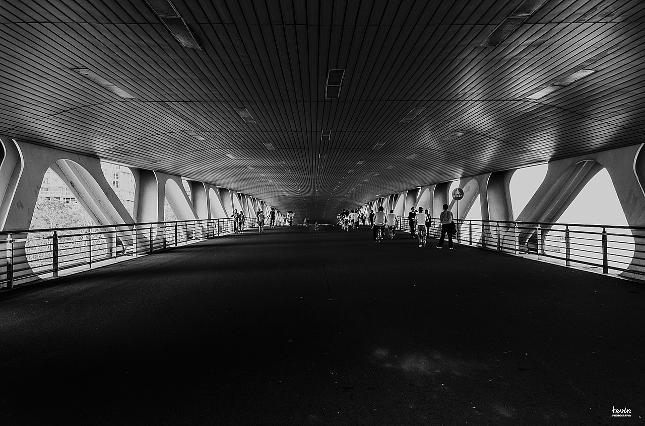 上海徐汇滨江大道