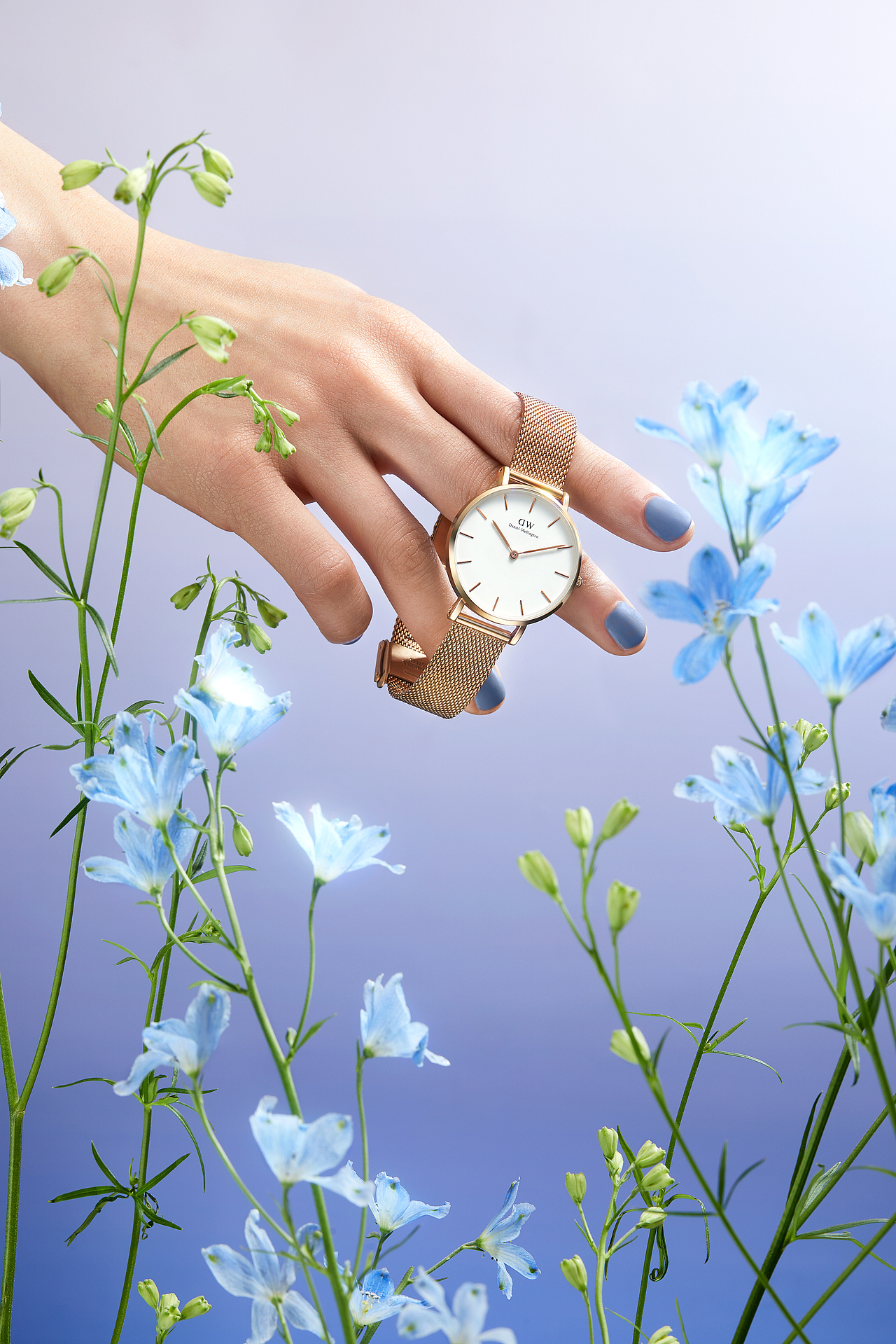 DanielWellington | DW手表（图ZMjU2Njk3ODY4） - 产品摄影 - 站酷设计师愚人斌原创素材 - 站酷ZCOOL