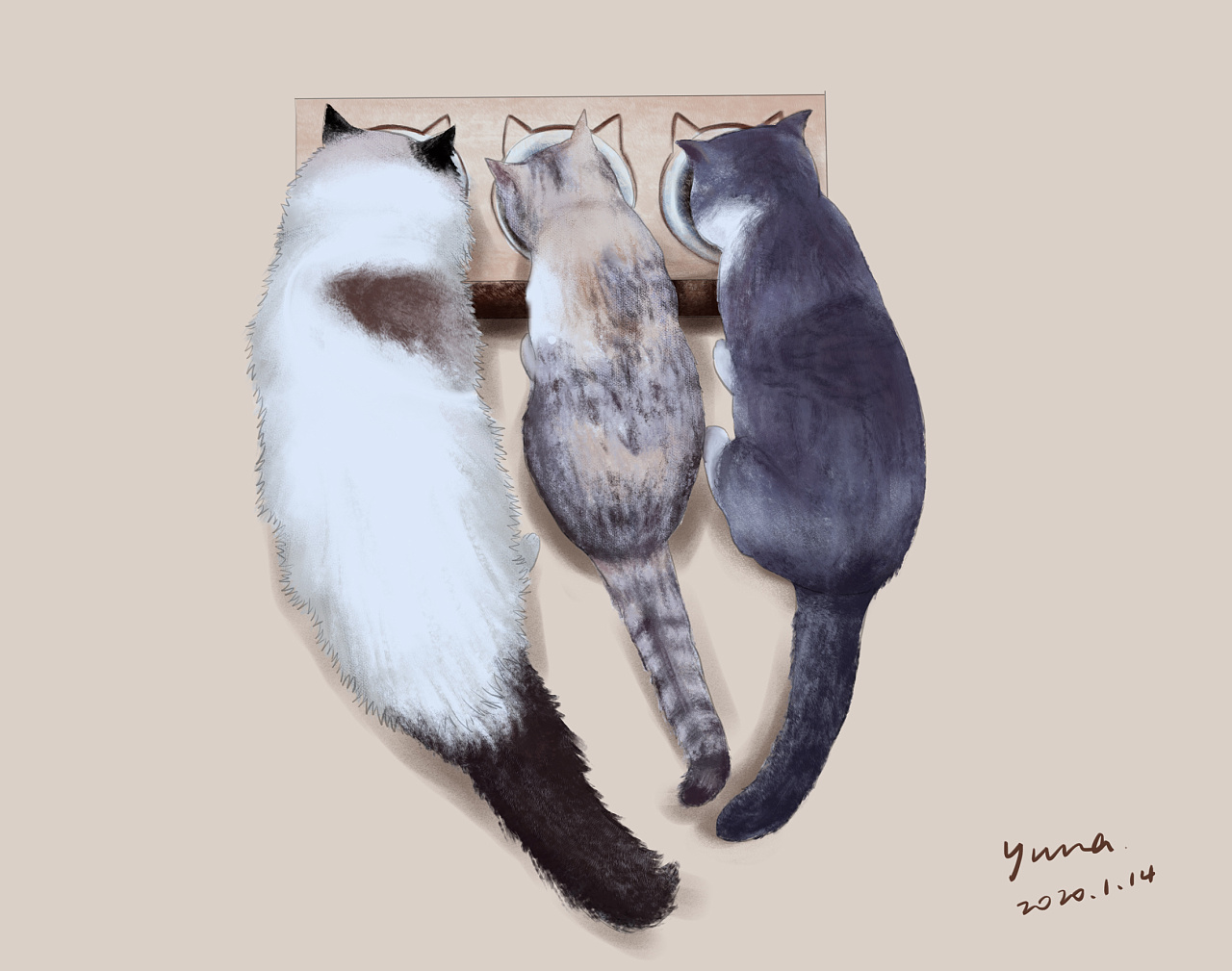 插画作品 三只猫