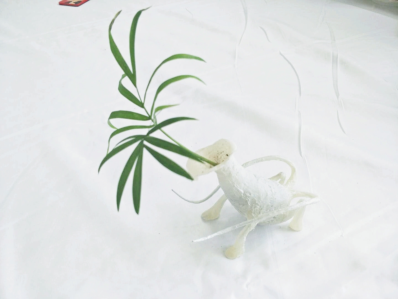 《诗经》中的昆虫（图ZMTcxMDk3NzM2） - 手办/模玩 - 站酷设计师鱿小哉原创素材 - 站酷ZCOOL