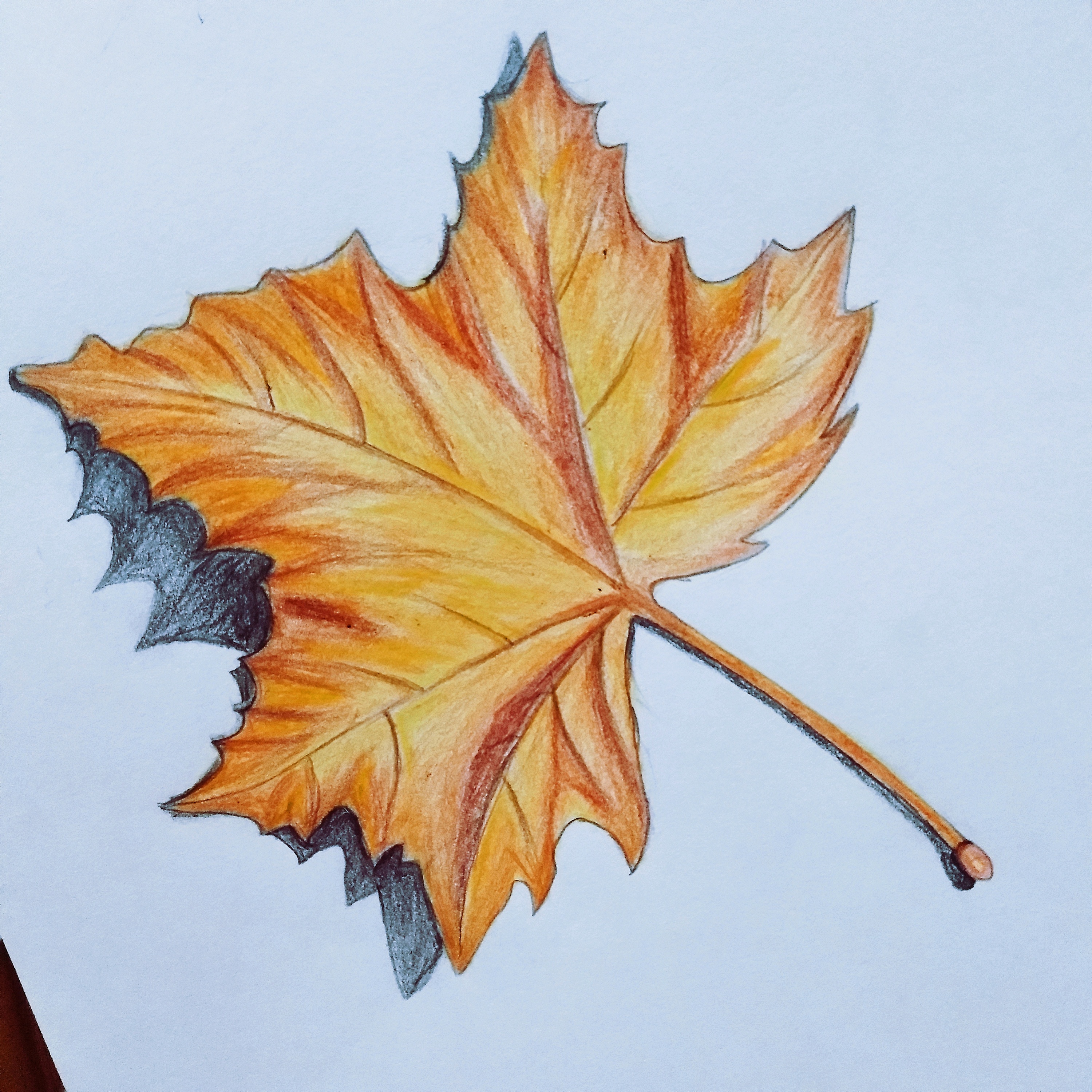 画一幅秋天落叶的画图片