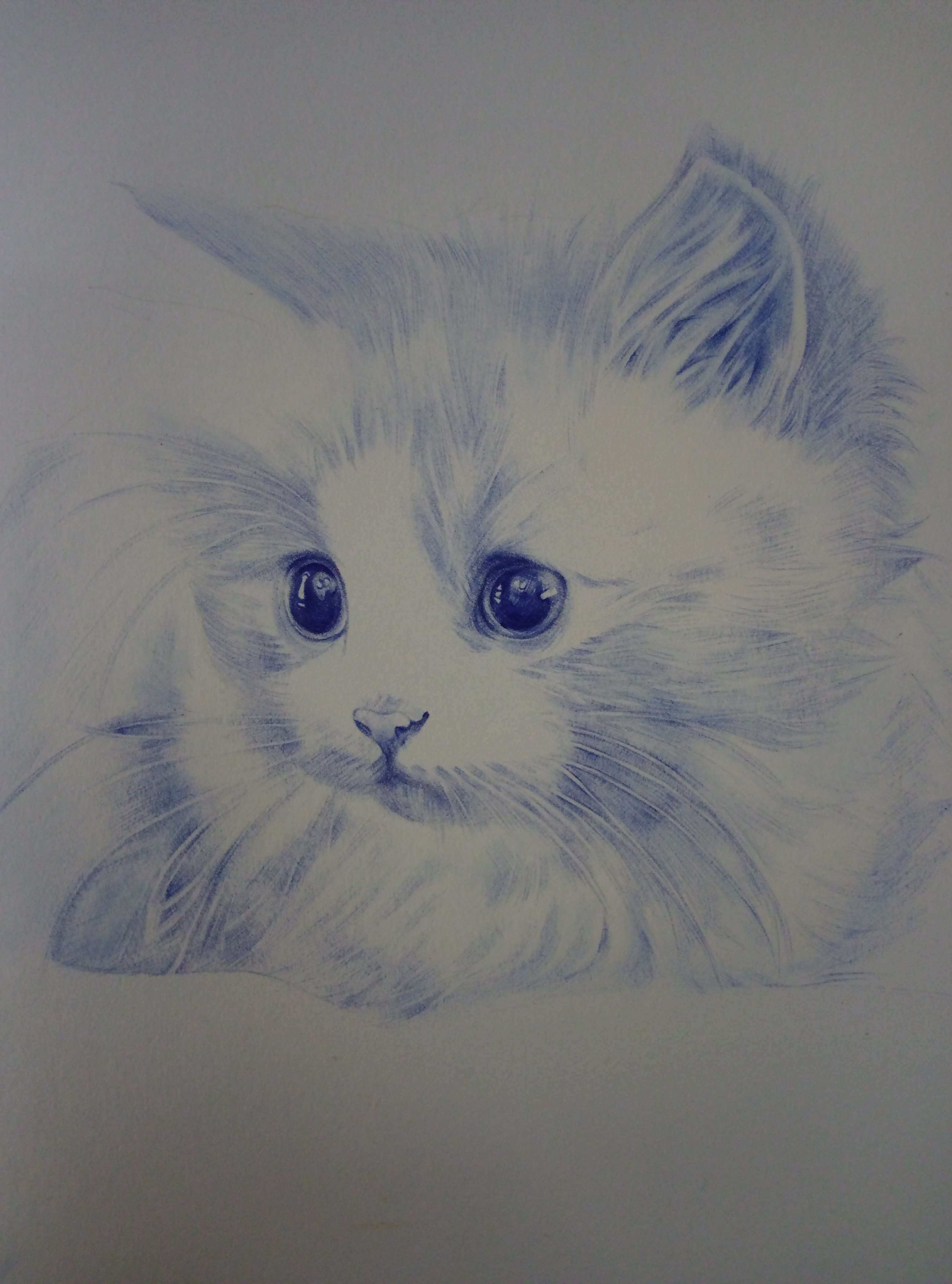 三年级美术画小猫难度图片