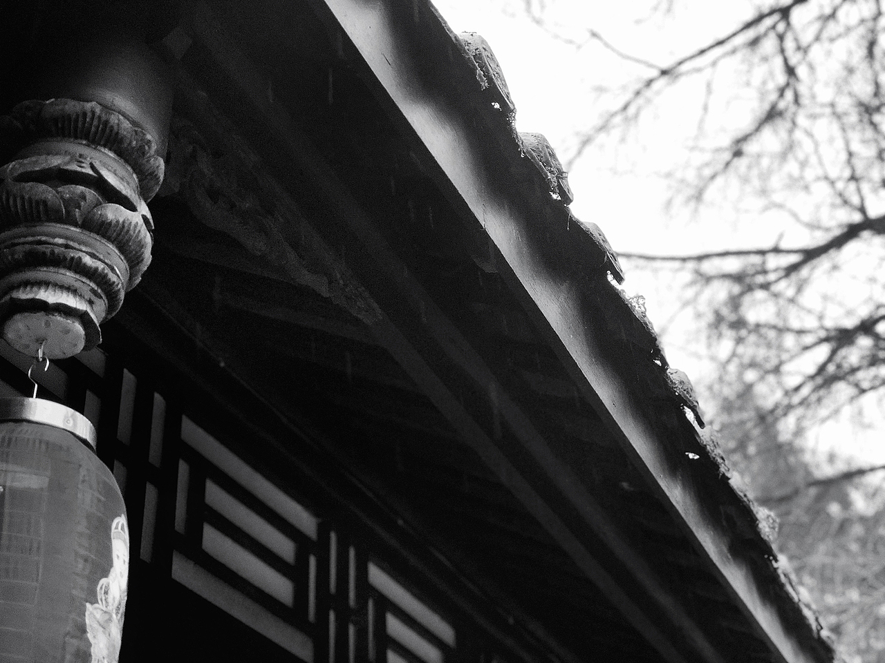 梅朵和父亲的情人节