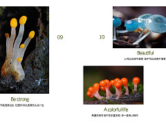 画册（图ZMjE4OTg3MDIw） - 书籍/画册 - 站酷设计师fo了蜜原创素材 - 站酷ZCOOL