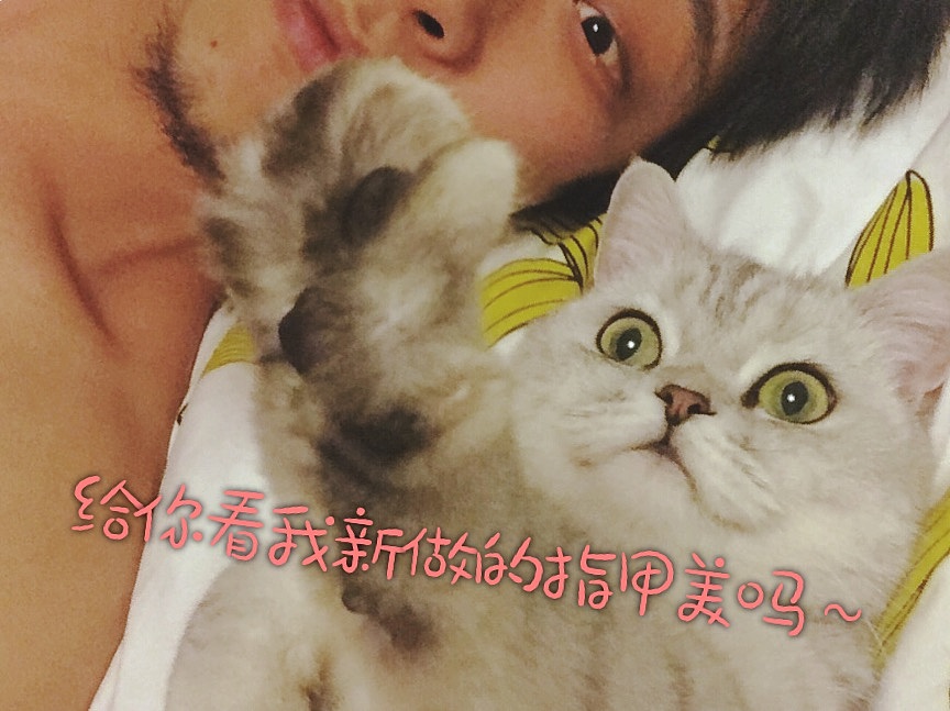 第九弹——虎子武士