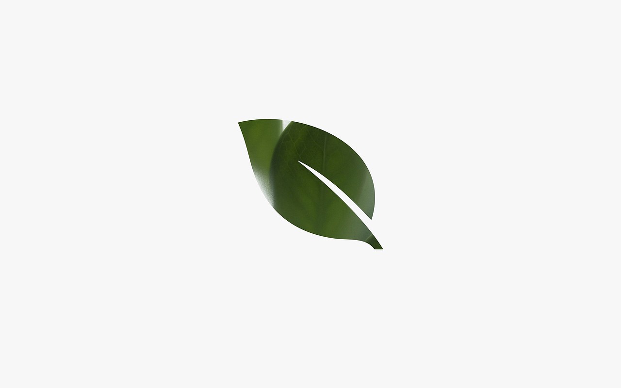 无规则品牌:EiLife ▏亚马逊跨境电商品牌设计