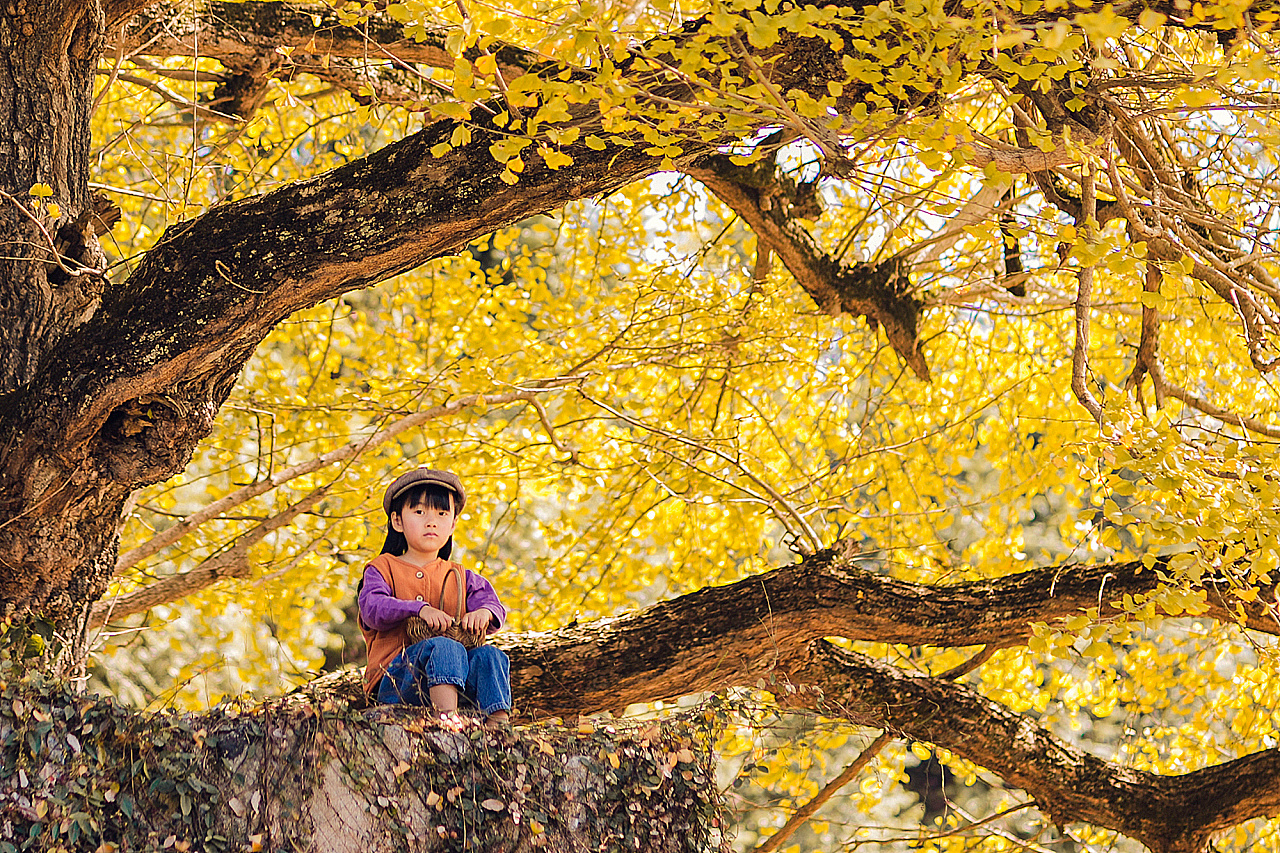 秋季美工 | 绝对新颖的绘画和手工，见证一棵落叶树的奇迹！-幼师宝典官网