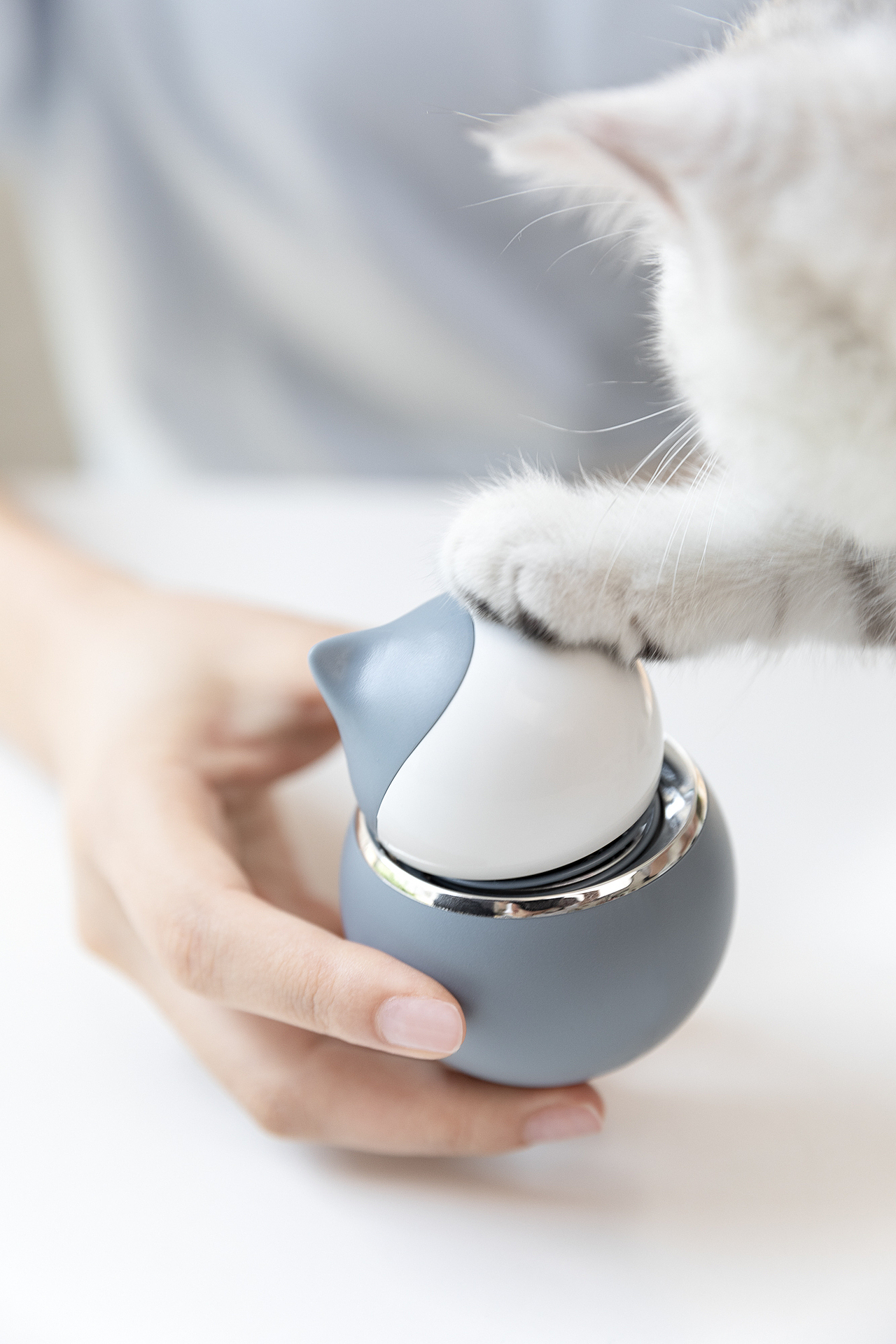 品牌案例丨优贰 猫咪 香薰扩散器（内含橱窗视频）（图ZMTcwMTkxOTky） - 产品摄影 - 站酷设计师白底图原创素材 - 站酷ZCOOL