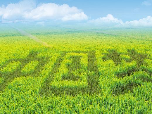 “社会主义核心价值观”系列公益广告海报