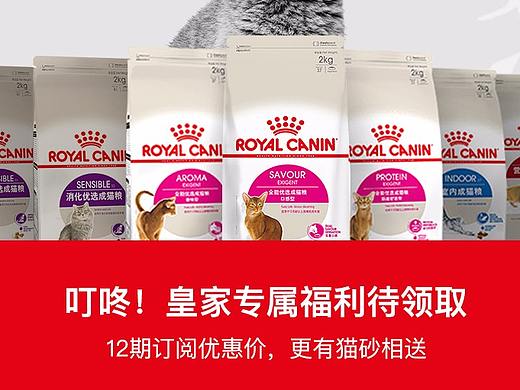 皇家貓糧專題活動頁（個人主頁-ZNDY2MjMyOTY=） - 電商 - 站酷設計師Ringo1123原創(chuàng)素材 - 站酷ZCOOL