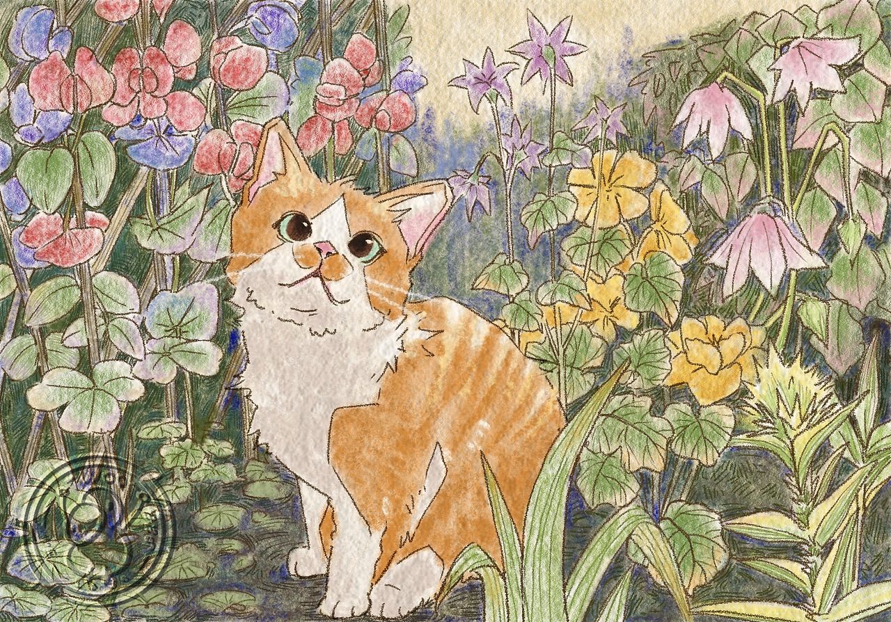 豌豆花和小野花