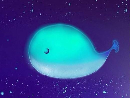 创意设计海报-小鲸