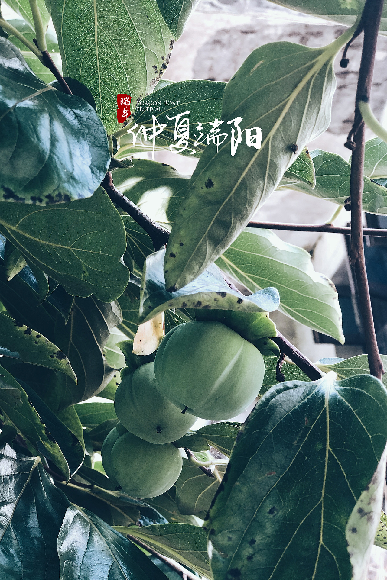 [仲夏端阳]-最原始的满足感（图ZMjEzNzA0MTAw） - 风光摄影 - 站酷设计师瞌睡蜜蜂原创素材 - 站酷ZCOOL