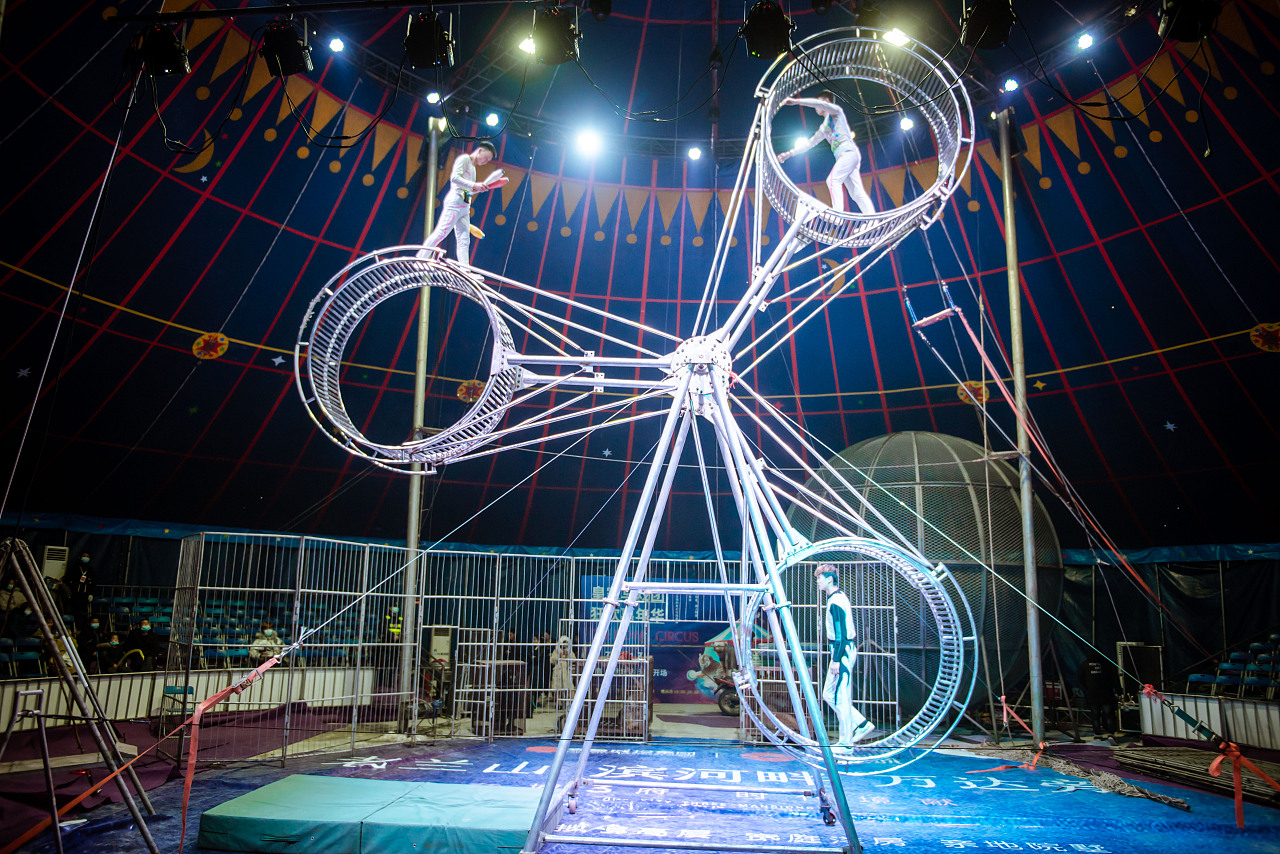 马戏团杂技嘉年华活动