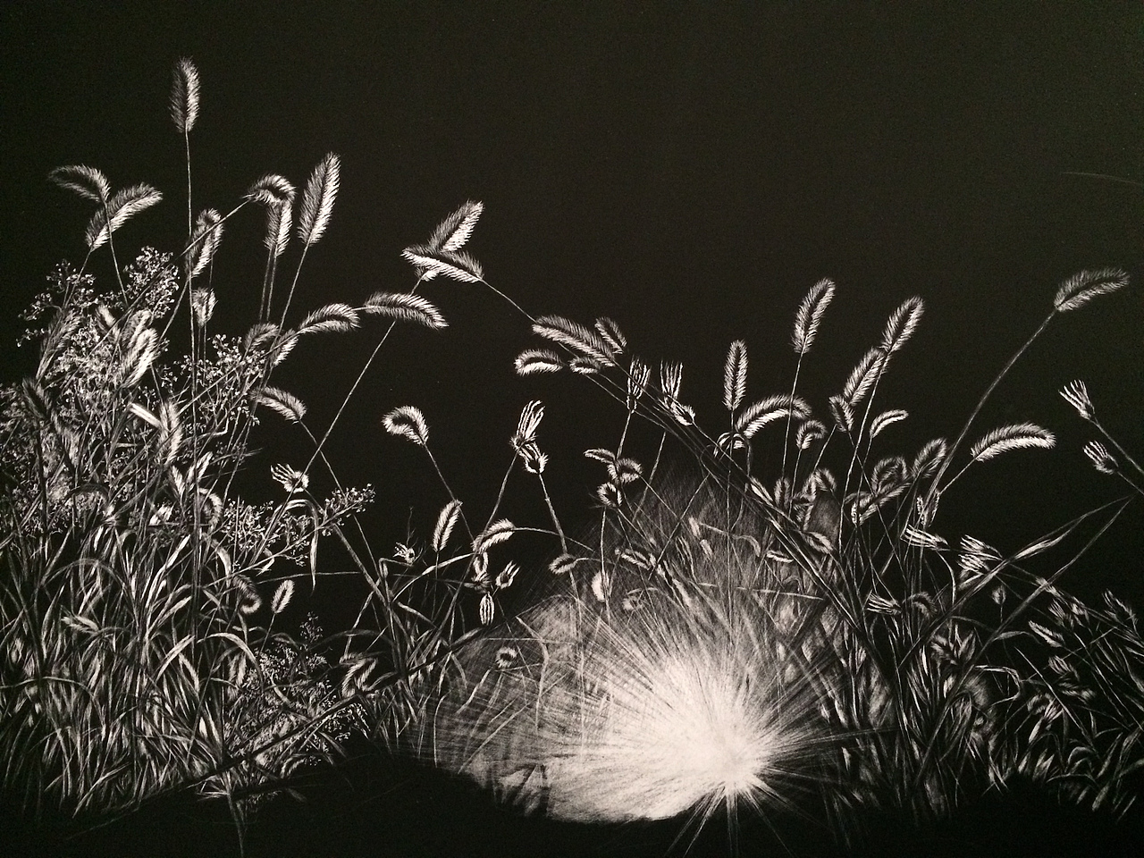 李子哥刮画作品《余晖》