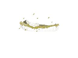 书籍插画