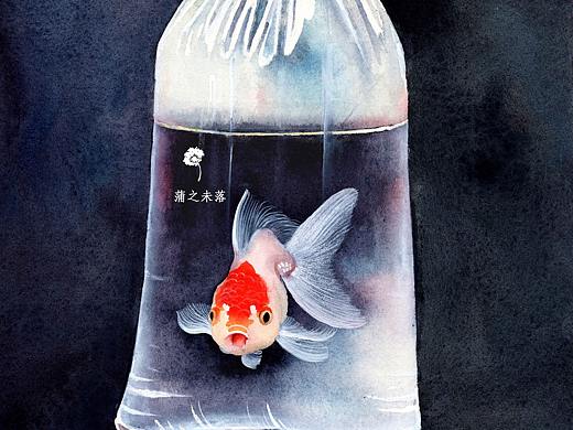 水彩绘一小金鱼