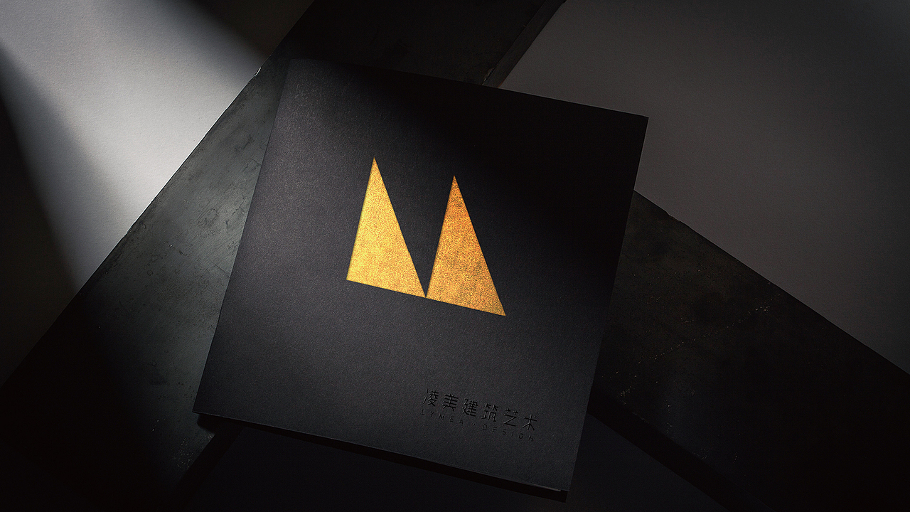 凌美国际——标志设计