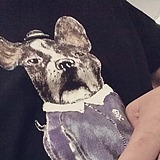 阿歪啊的头像
