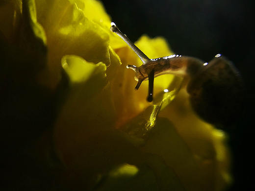 摄影作品 · 慧影间