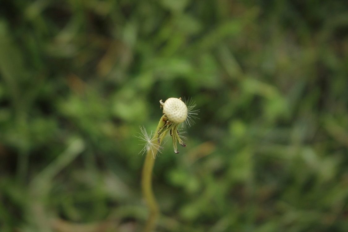 摄影（图ZMTU1NDc5NDU2） - 风光摄影 - 站酷设计师JUNE的七七原创素材 - 站酷ZCOOL