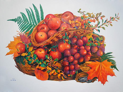 OY彩色圆珠笔画（2011-2014）