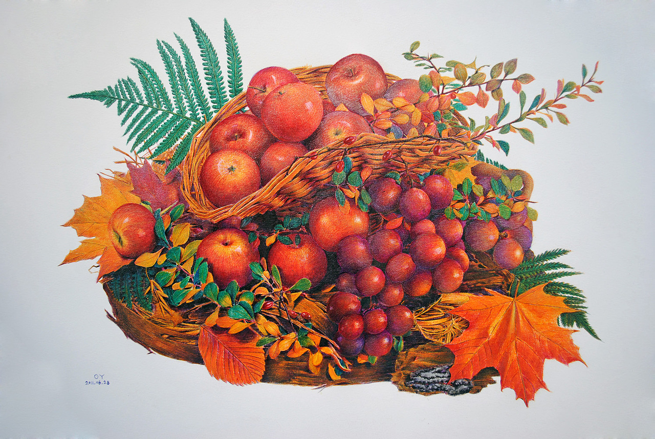 oy彩色圆珠笔画20112014