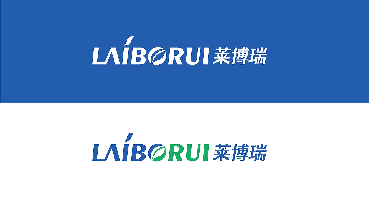 【瑞咖/品牌全案】莱博瑞 | 莱博瑞科技 超越未来