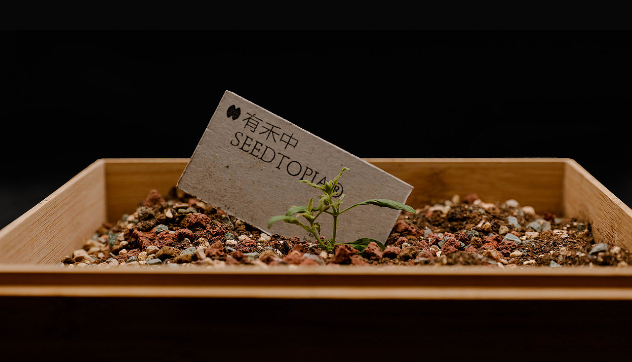 二十四节气种子历 | 24 Solar Terms Seeds Calendar