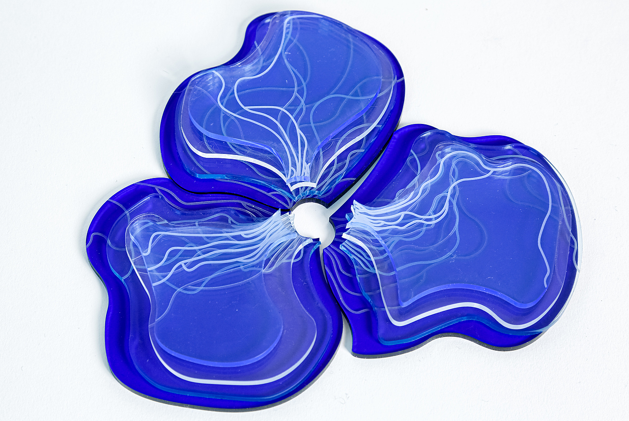 All shape and size - Gender equality