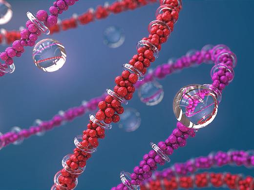 C4D渲染练习自带渲染器