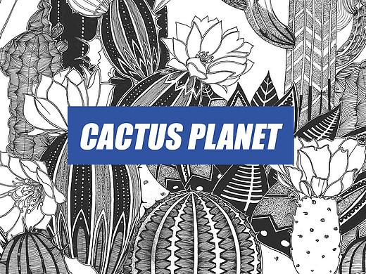 鋼筆畫---仙人掌（個人主頁-ZMzE2MjMyNDA=） - 創(chuàng)作習作 - 站酷設計師阿餅原創(chuàng)素材 - 站酷ZCOOL