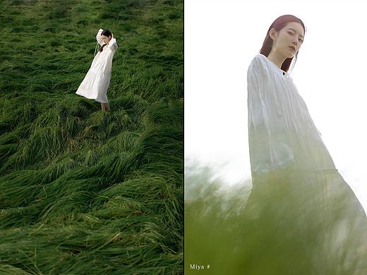 草海