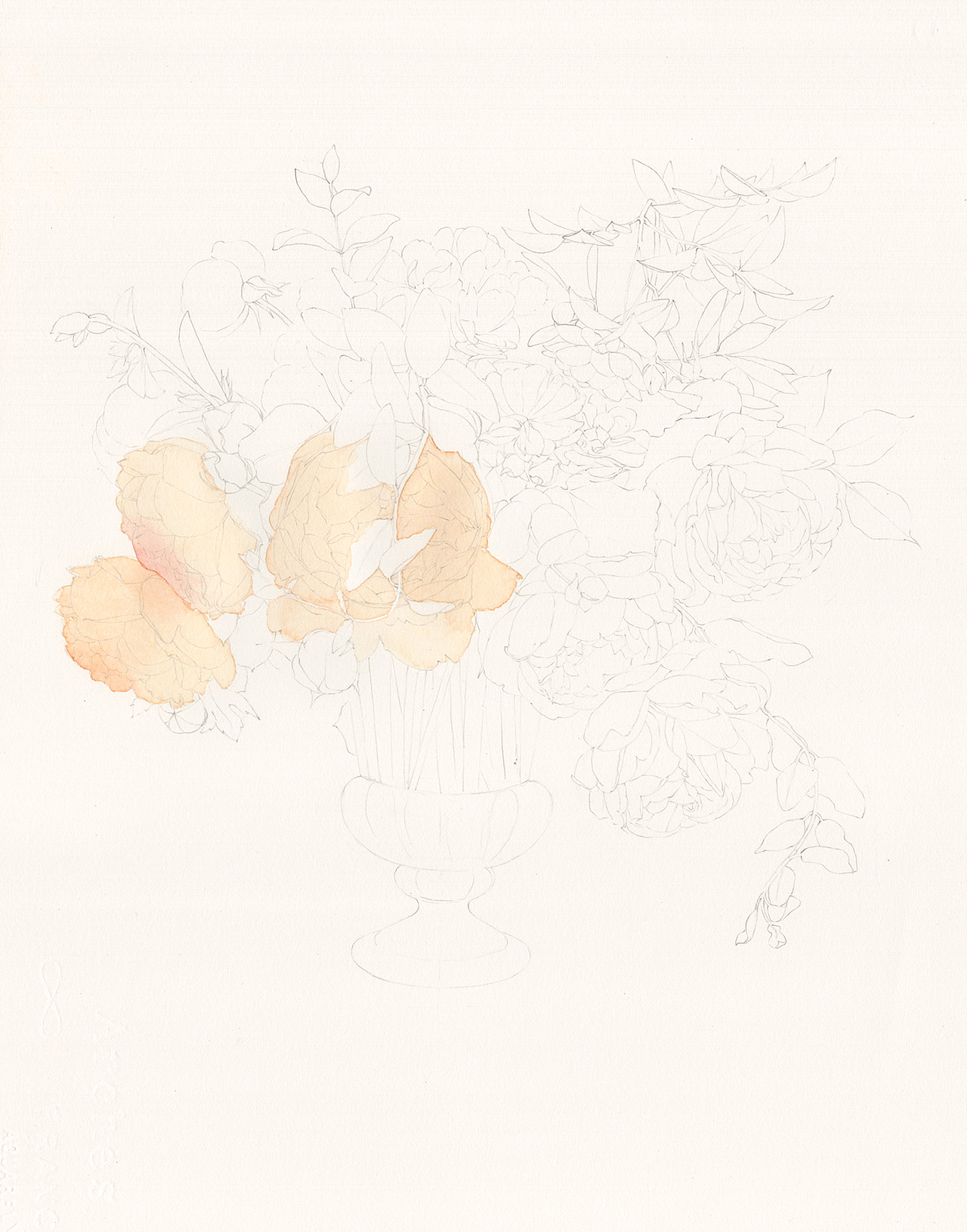 水彩花卉《达西先生》步骤图（图ZMTIzOTI2NDg0） - 绘画 - 站酷设计师苏木_Summer原创素材 - 站酷ZCOOL