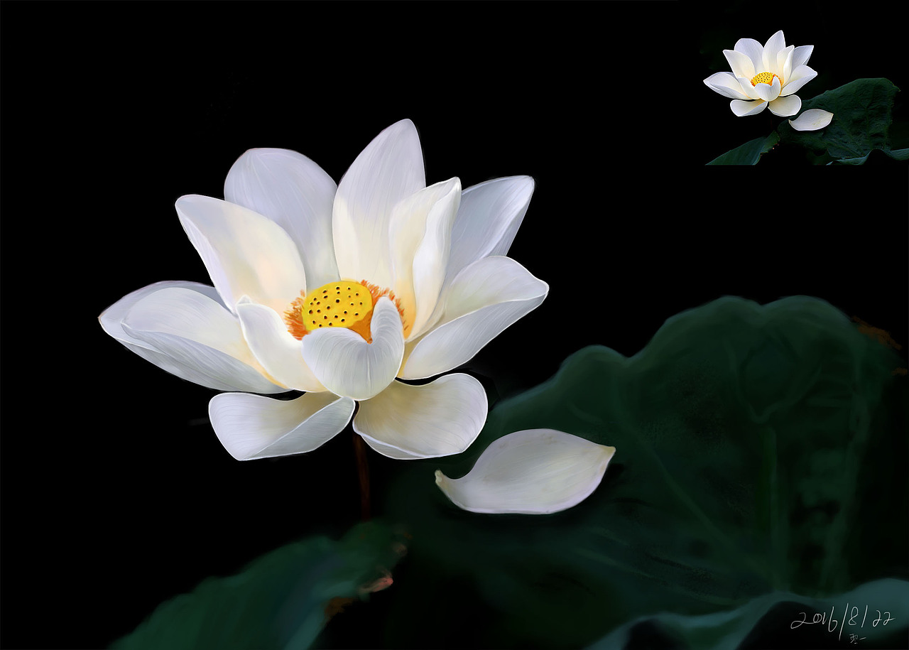 手绘练习（图ZNjg3OTA2ODA=） - 艺术插画 - 站酷设计师零一无泪原创素材 - 站酷ZCOOL