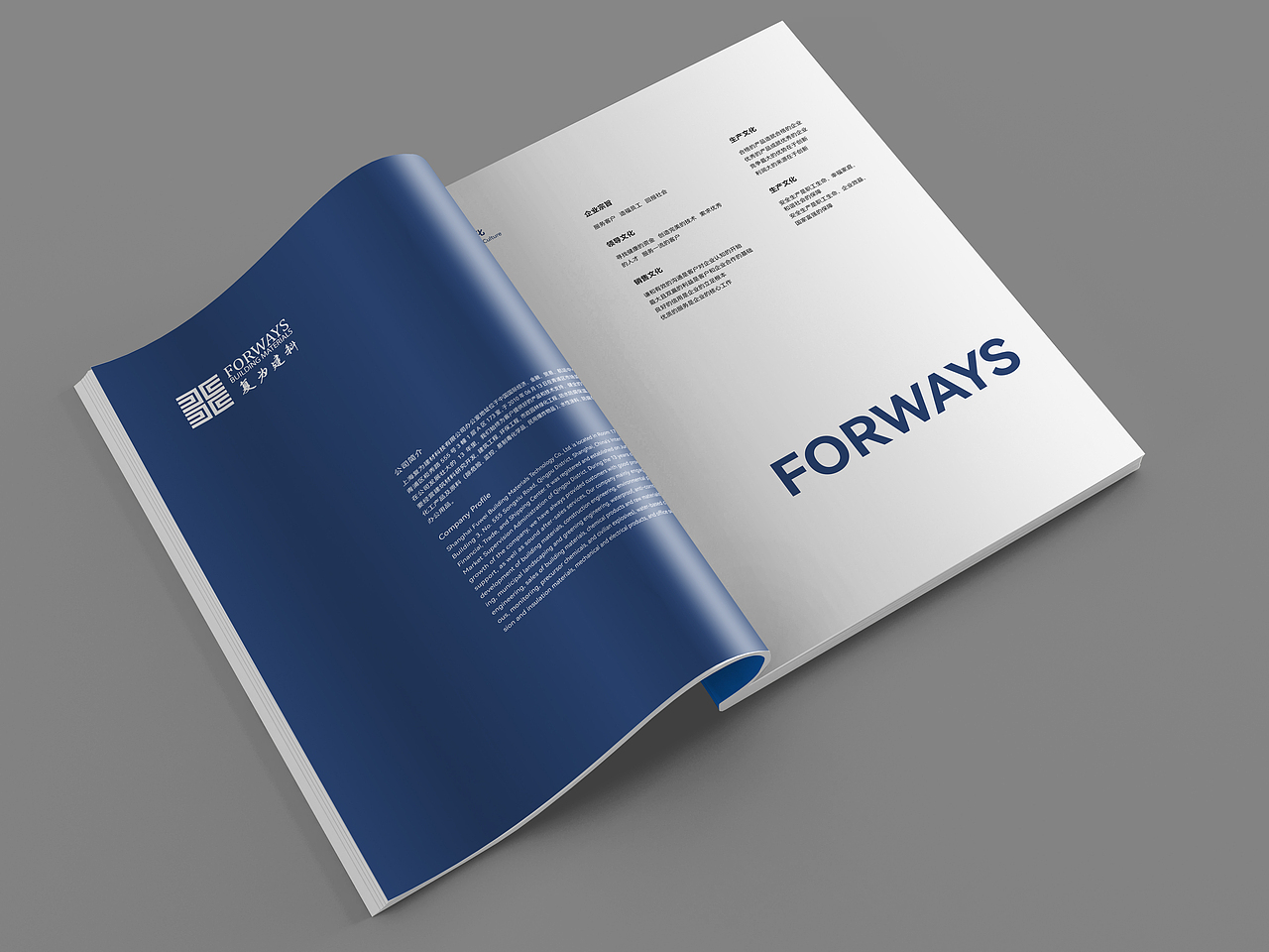 建材类画册设计-01-独立画册设计师-杭州大师兄