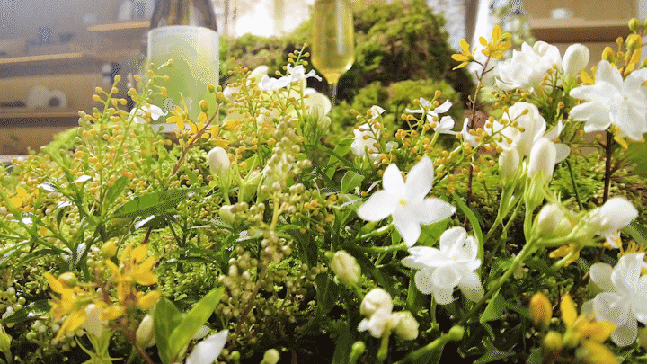 茶饮摄影 | ZENS T 哲品茶厅 X 拾光传媒CATCHTIME（图ZMjcyNDYwNzk2） - 美食摄影 - 站酷设计师拾光传媒原创素材 - 站酷ZCOOL