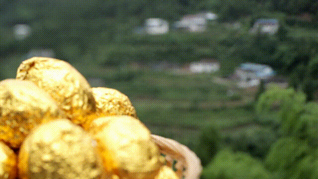 《青春在大地》节目内包装设计（图ZMjQ2MTQ5NDEy） - 图案 - 站酷设计师蔚蓝大的天空原创素材 - 站酷ZCOOL