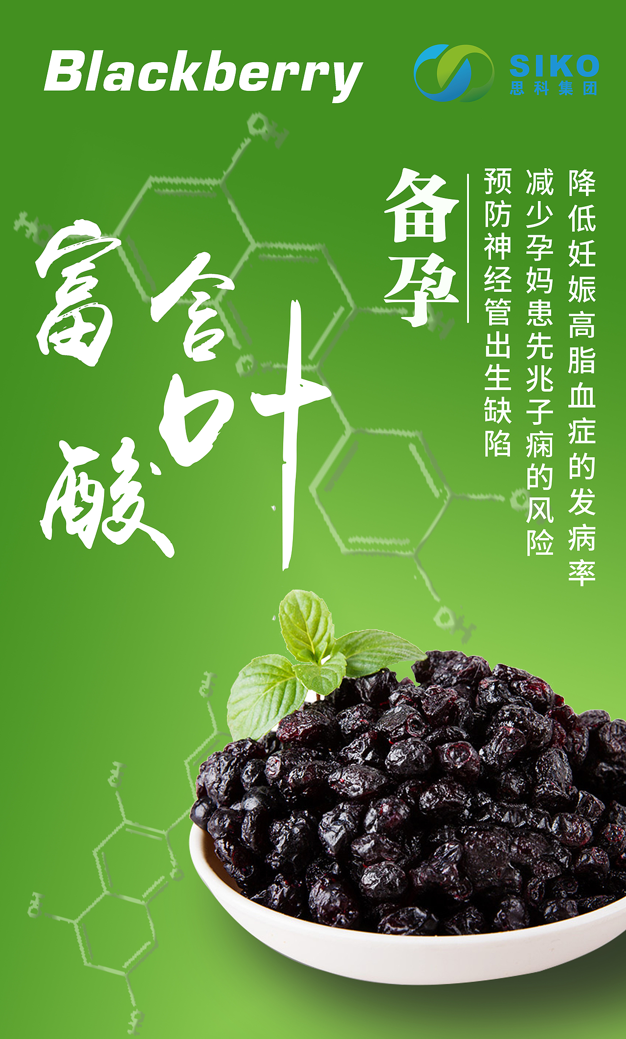 黑莓营养元素宣传